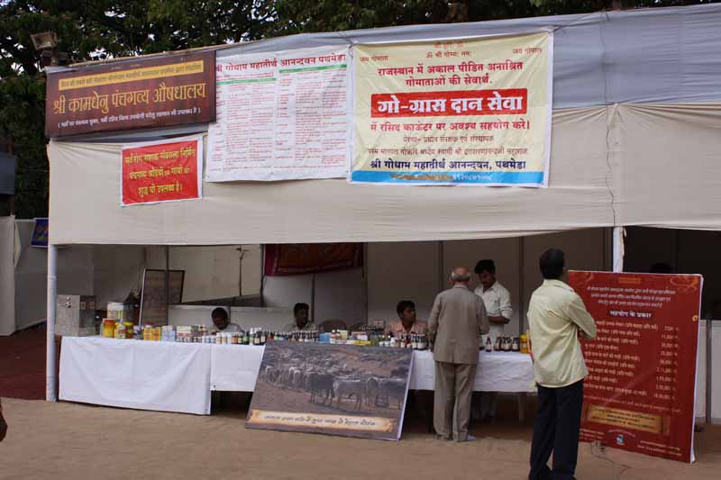 Hanuman Jayanti - 2010