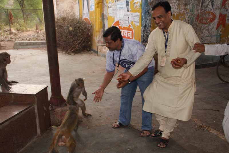 Hanuman Jayanti - 2012