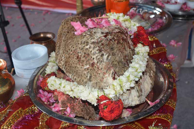 Hanuman Jayanti - 2016