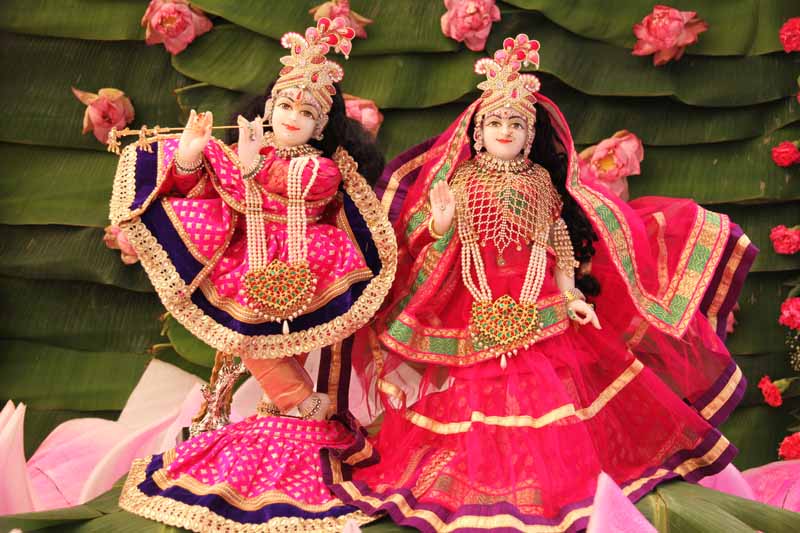 Nanibai Myro1 - 2015