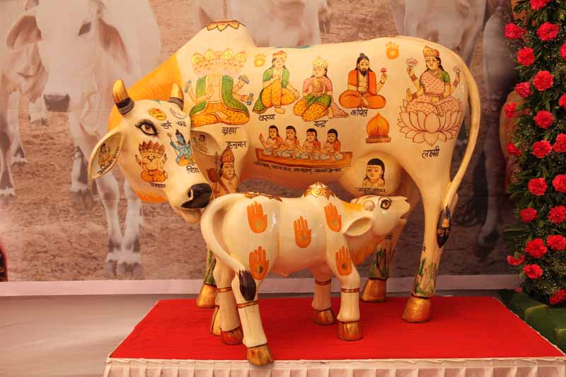 Nanibai Myro1 - 2015