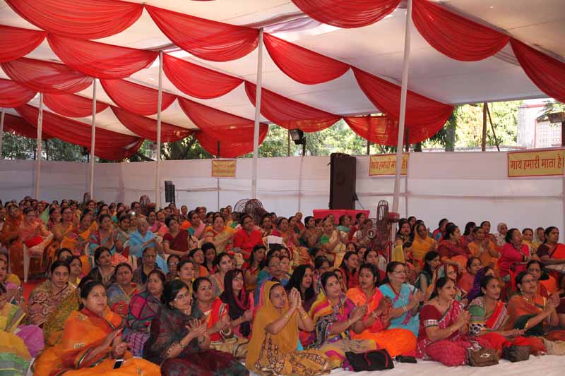 Nanibai Myro1 - 2015